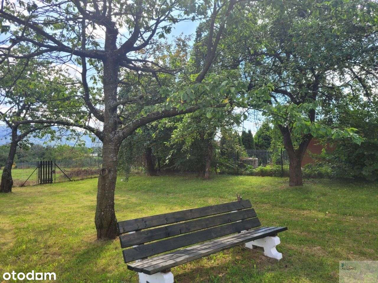 Piękny widok - na Czantorię oraz Równicę :) - Pełny obrazek: 5/12