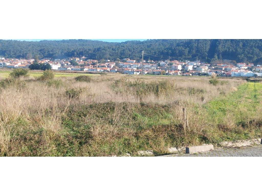 Terreno Agrícola para Venda - Areosa, Viana do Castelo - Grande imagem: 2/9