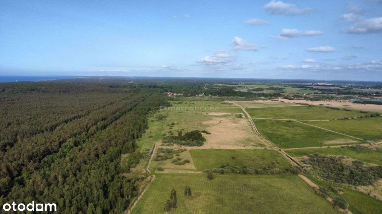 Zalesin, działka rolna 3000m, 800m od plaży - Pełny obrazek: 5/15