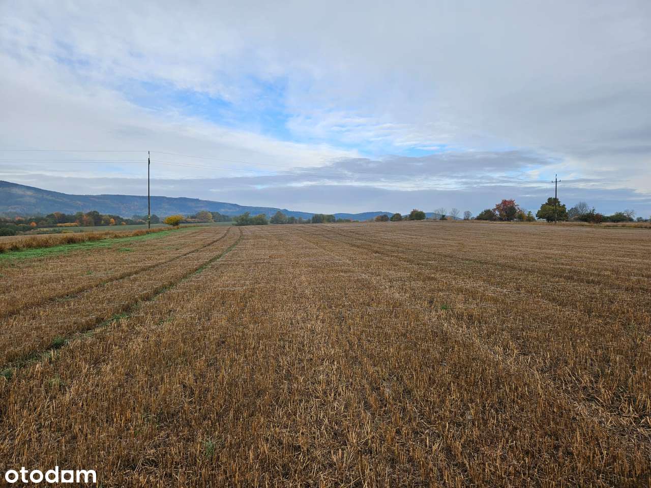 Działki z widokiem na góry - Starków - Pełny obrazek: 2/6