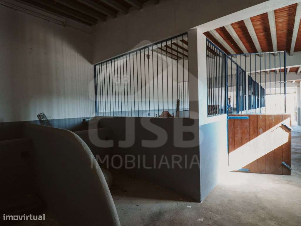 Quinta T5 na Branca-34