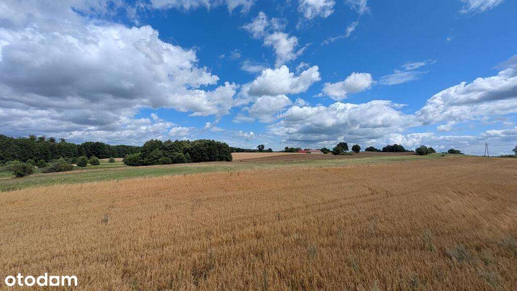 Na sprzedaż siedlisko na Pojezierzu Drawskim.-6