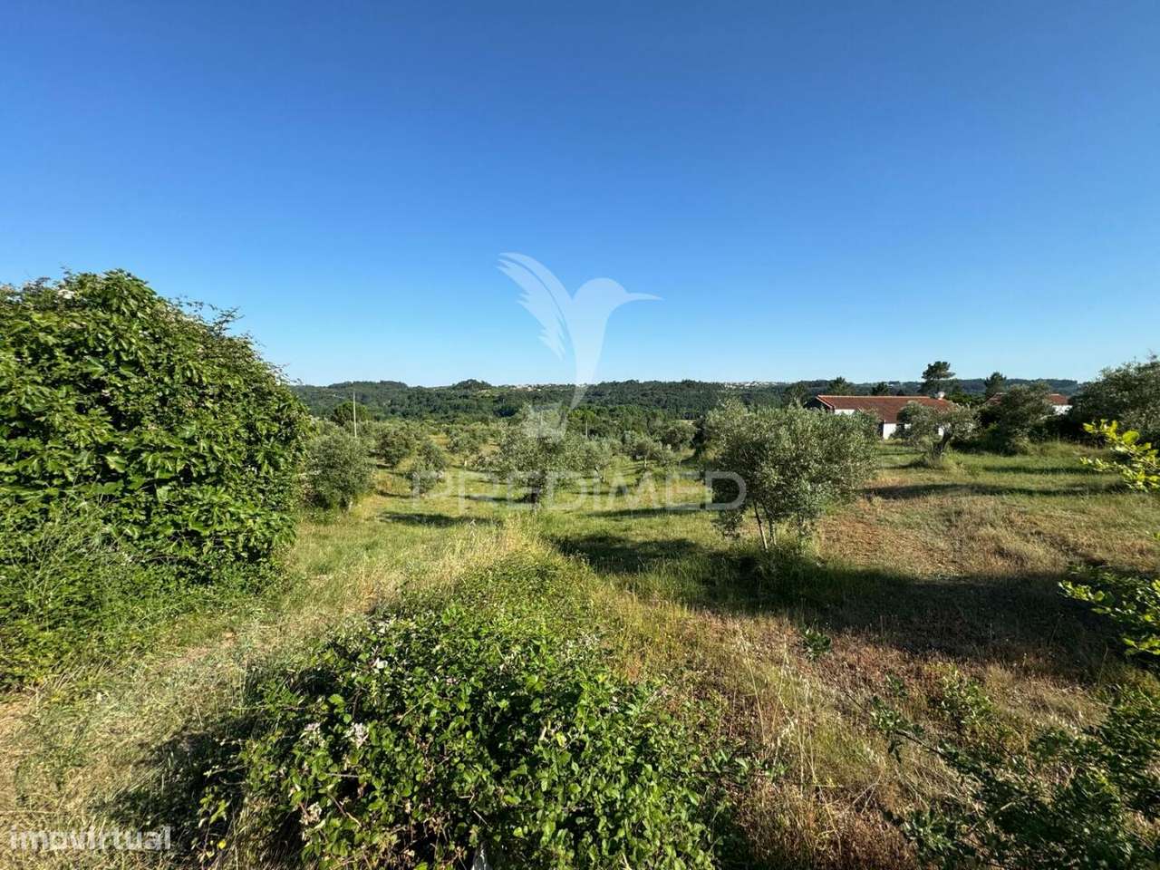 Lotes de terreno para construção em Seiça, Ourém - Grande imagem: 4/4