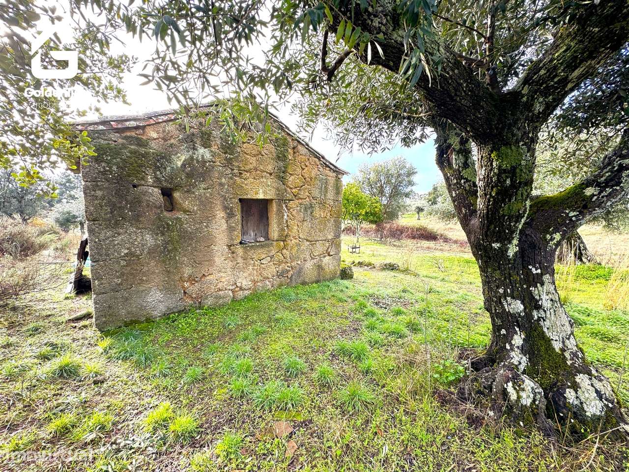 Quintinha  Venda em São Miguel de Acha,Idanha-a-Nova - Grande imagem: 5/33