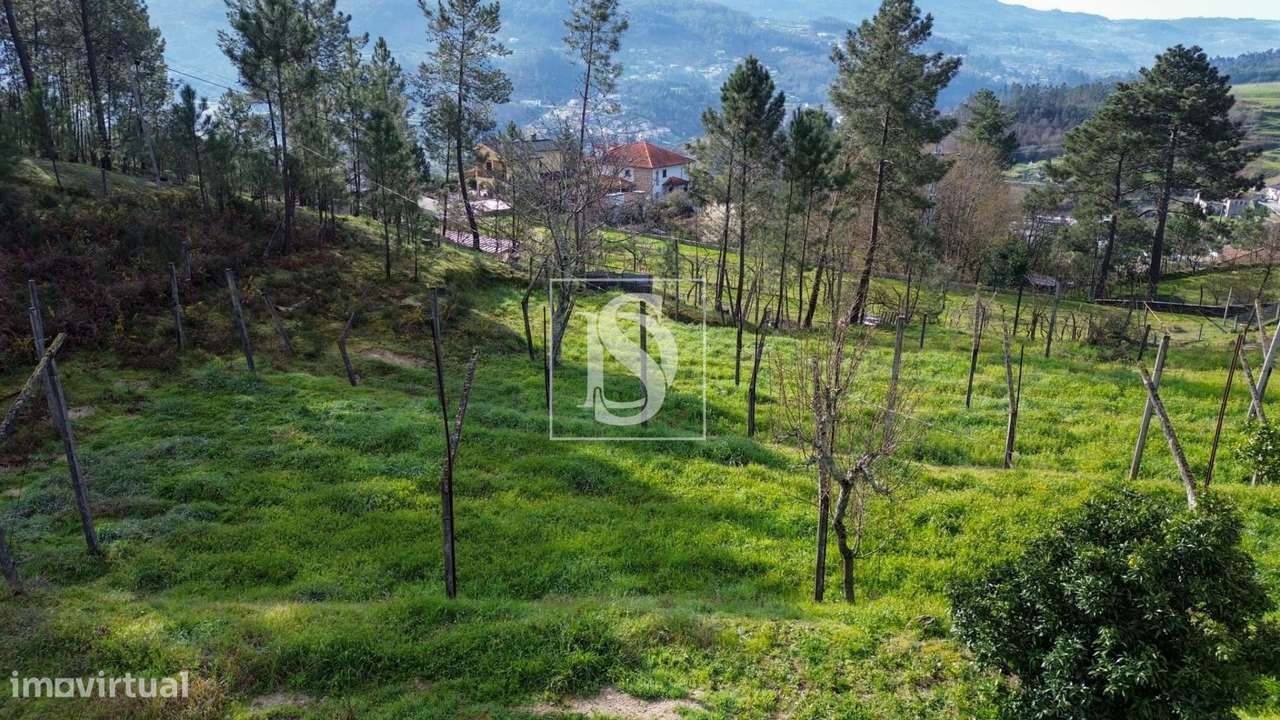 Terreno em Lufrei, Amarante - Grande imagem: 5/11