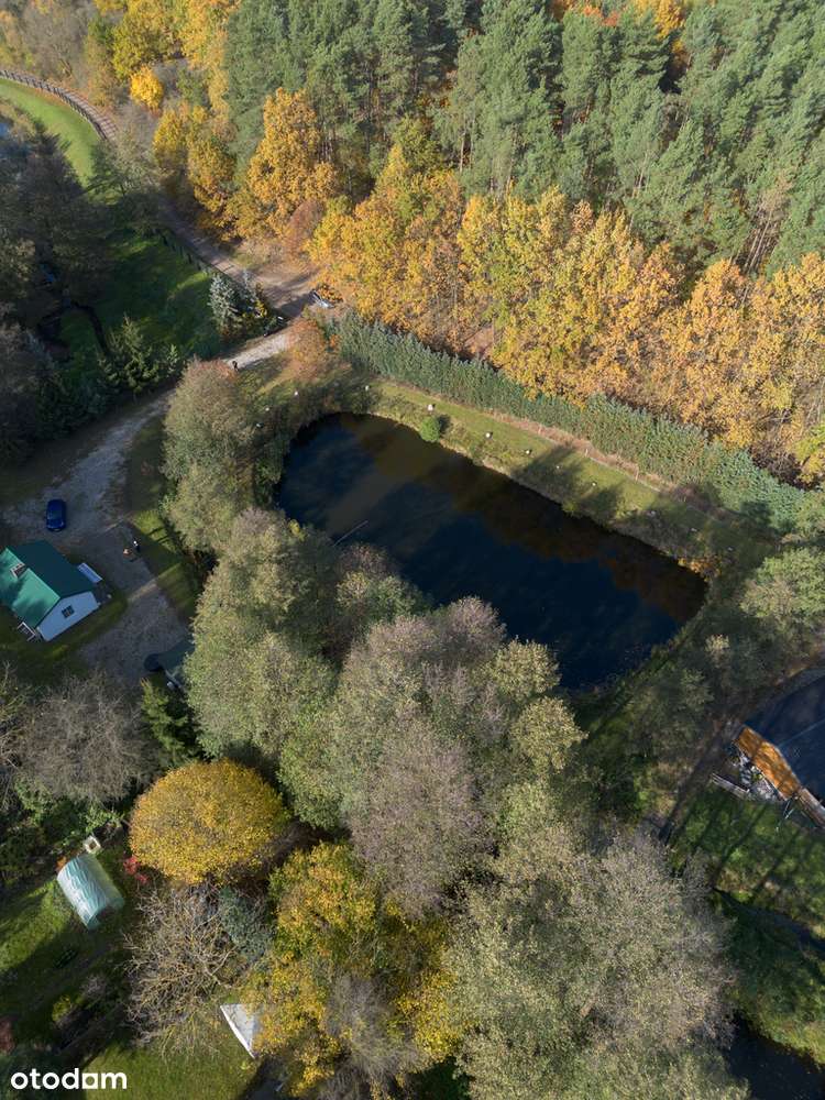 Urokliwe łowisko wędkarskie z domkiem!-4