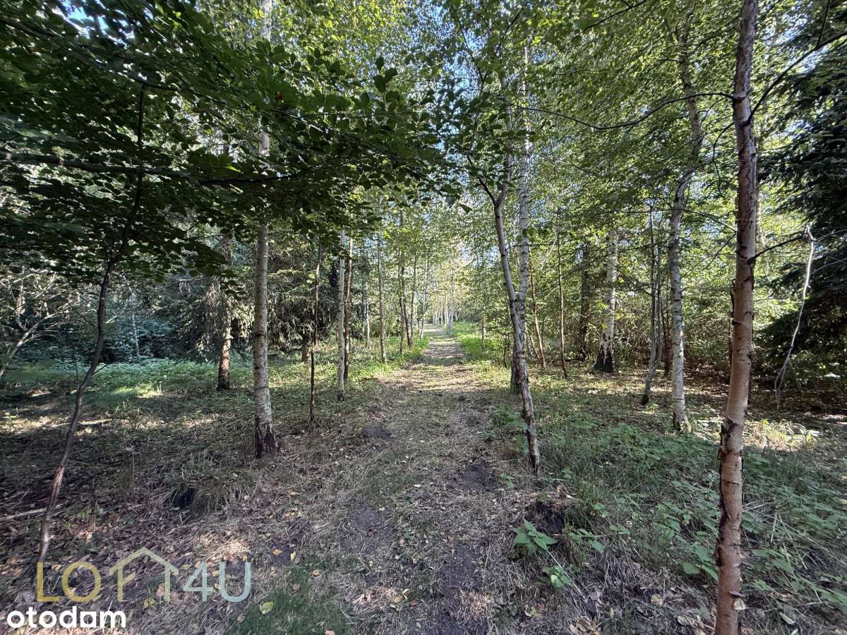 Działka 2 500 m² z domem i lasem – Myszków