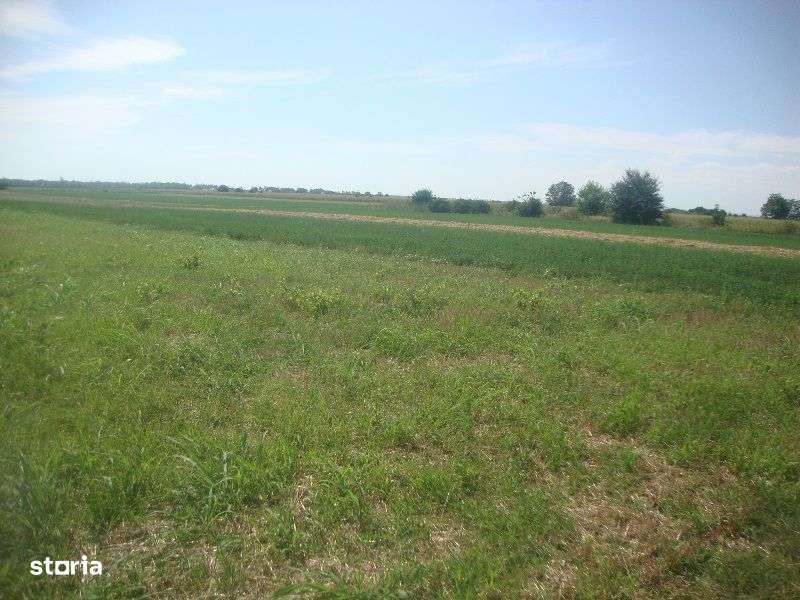 Teren extravilan Boldesti Gradistea, Prahova - 3089300-1