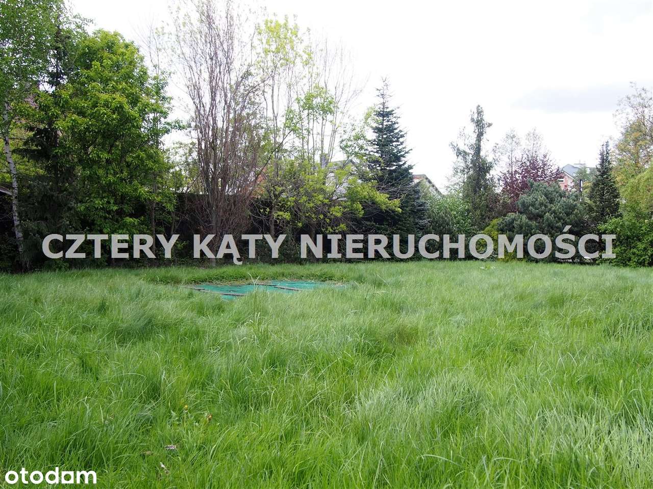 Działka 1 km od rynku, z warunkami zabudowy - Pełny obrazek: 2/2