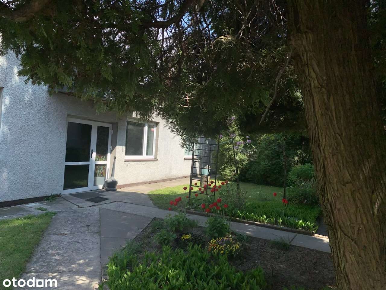 Nieruchomość mieszkalno-uslugowa w centrum Ożarowa Mazowieckiego - Pełny obrazek: 4/20