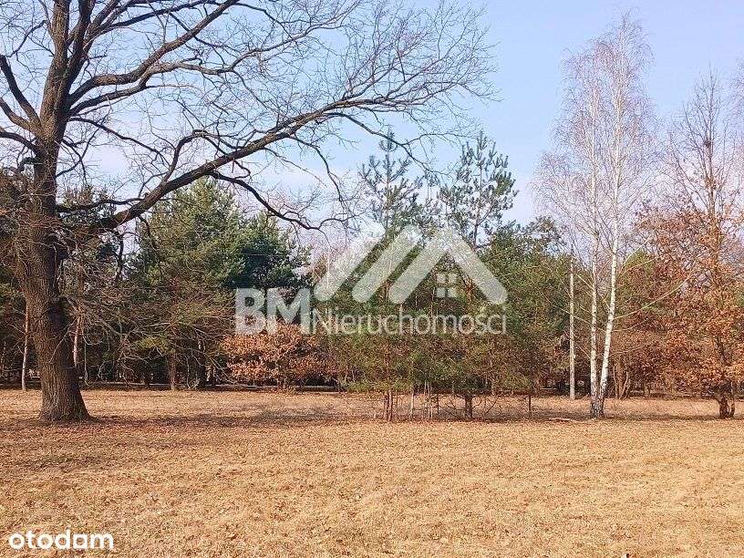 Makówka w/w osiedla Czarny Las-2