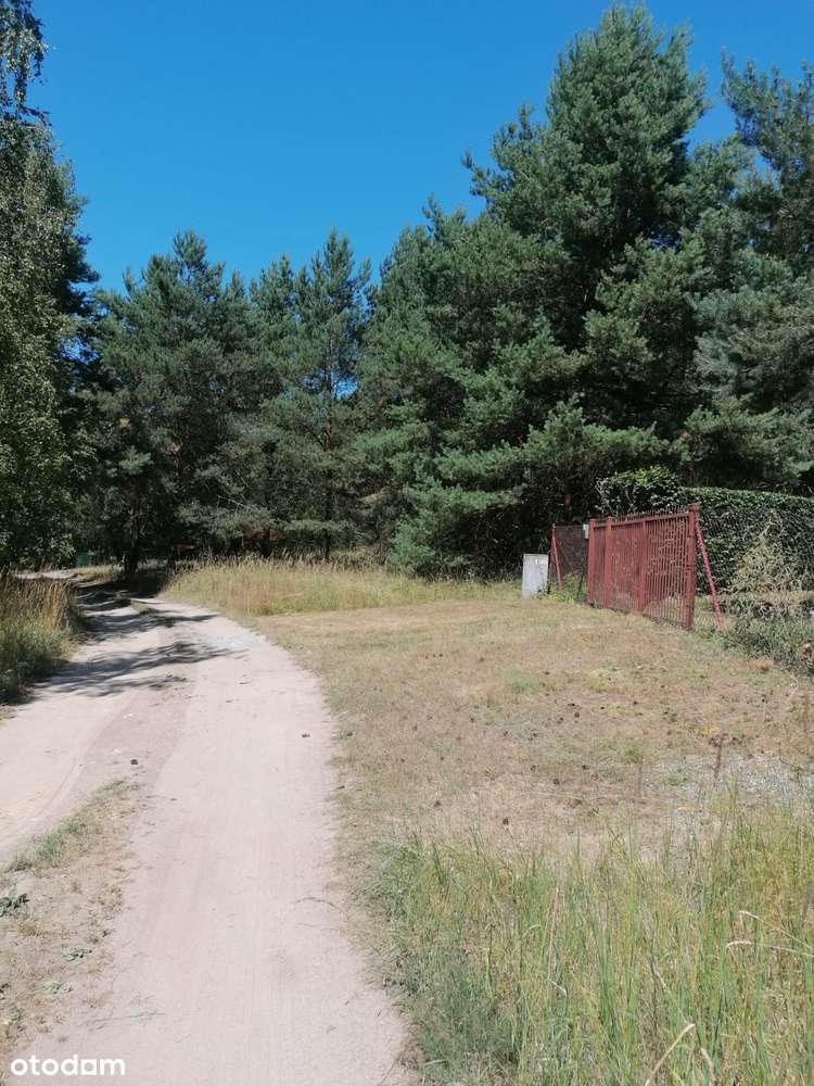 Ładna działka budowlana w lesie nad Jeziorem Tuczno-7