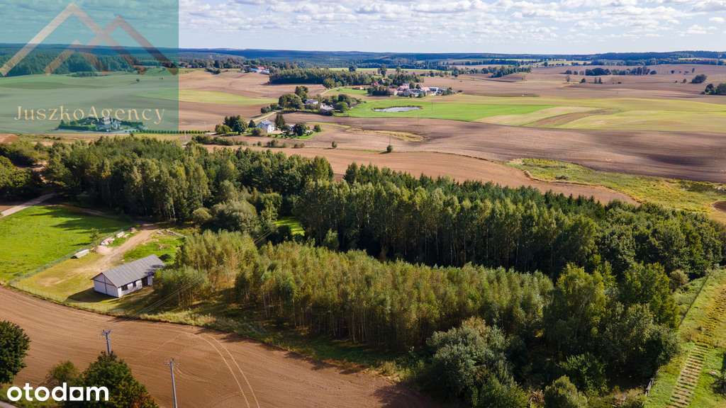 Rychnowo. Działki przy lesie z warunkami zabudowy.-12
