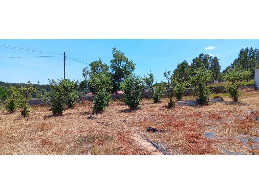 Vários Anexos para Recuperação com Terreno Venda Nova, Envendos-15