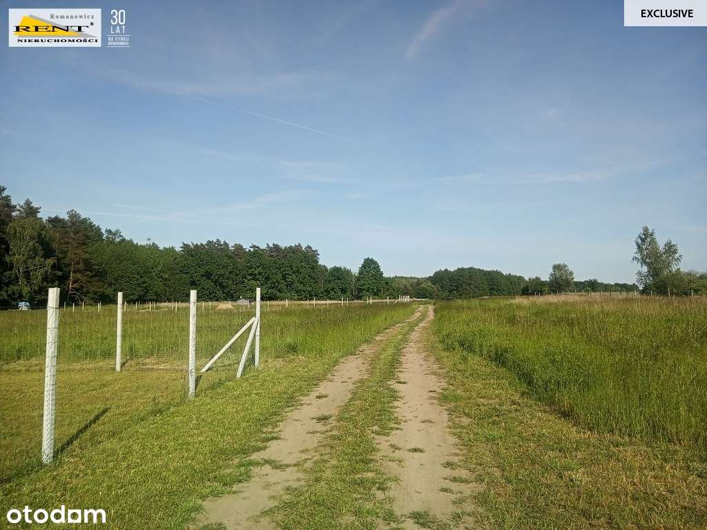 Działka w Chociwlu - Pełny obrazek: 4/9