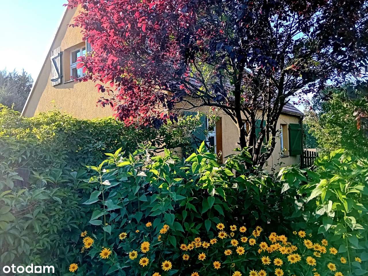 gospodarstwo zabudowa zagrodowa siedliskowa - Pełny obrazek: 5/20