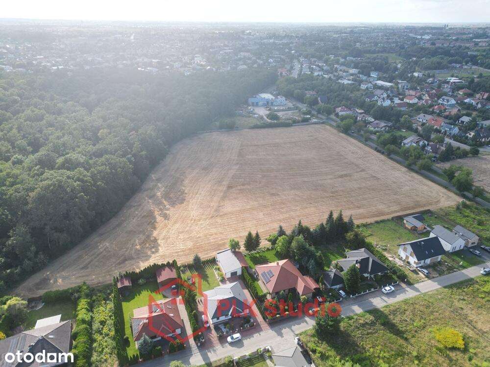 Działki w Gnieźnie przy lesie - Pełny obrazek: 2/5