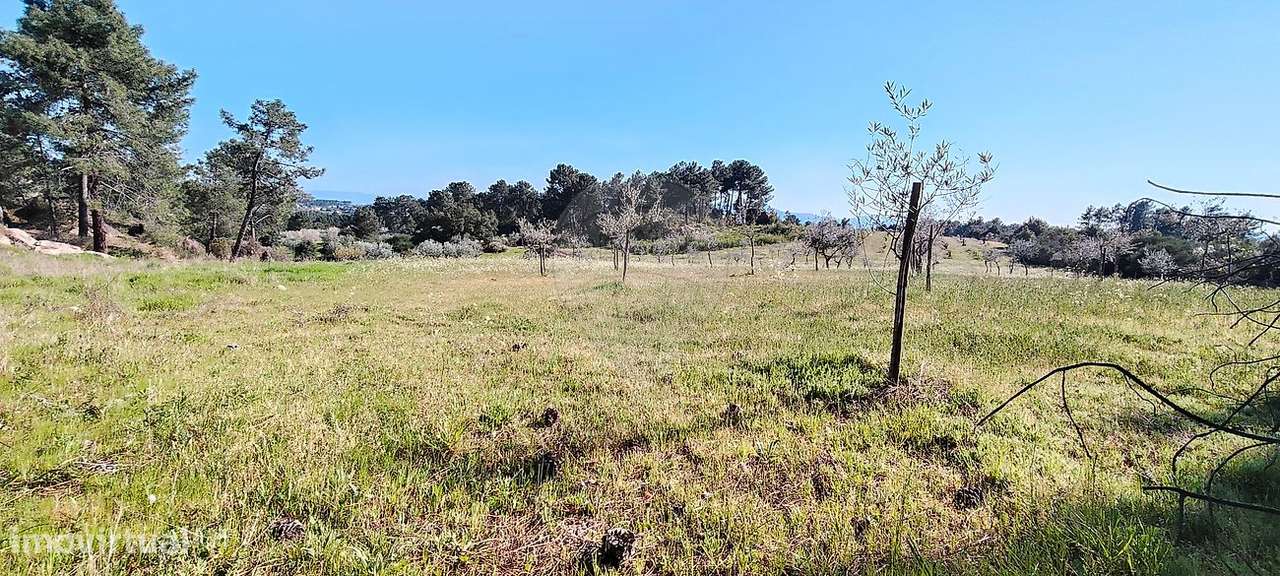 Terreno  para venda - Grande imagem: 4/10