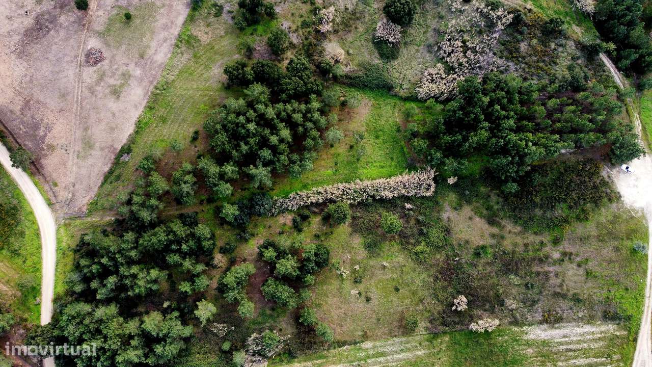 Apresento terreno com total de 5 520m2, localizado na Lapa, Cartaxo-9