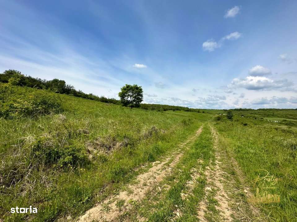 Teren intravilan in zona Hanul Pescarilor, str. Dealul lui Dumnezeu - Imagine principală: 4/9