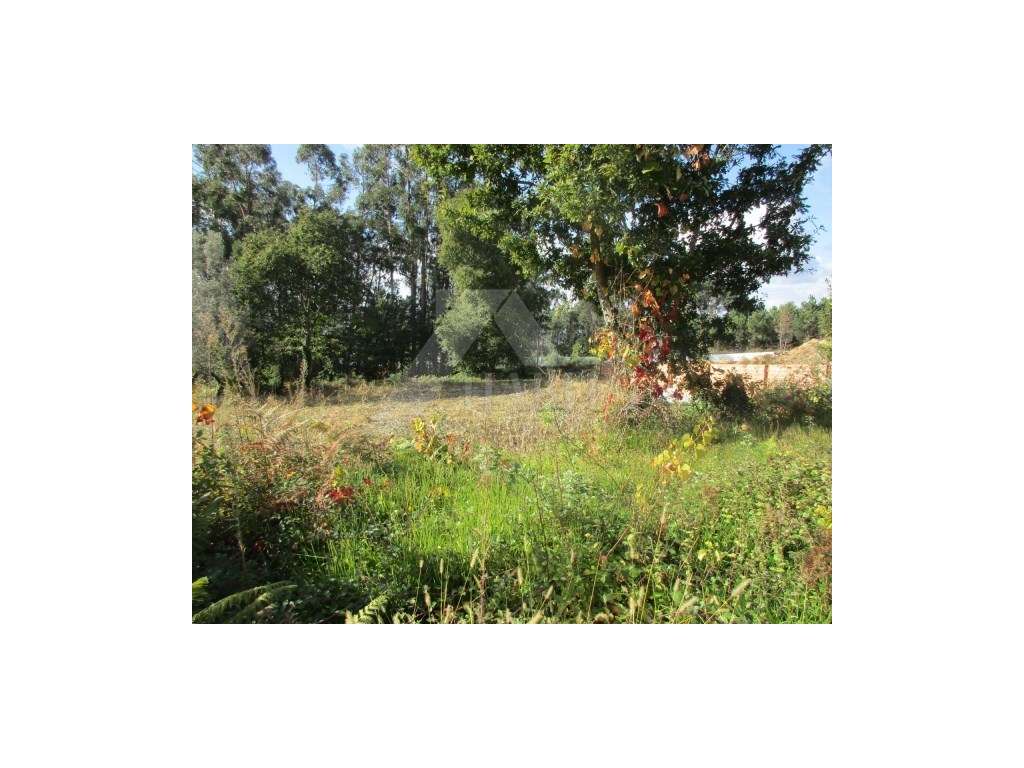 Terreno c/ 2.851m2 em Fornelos - Grande imagem: 2/3