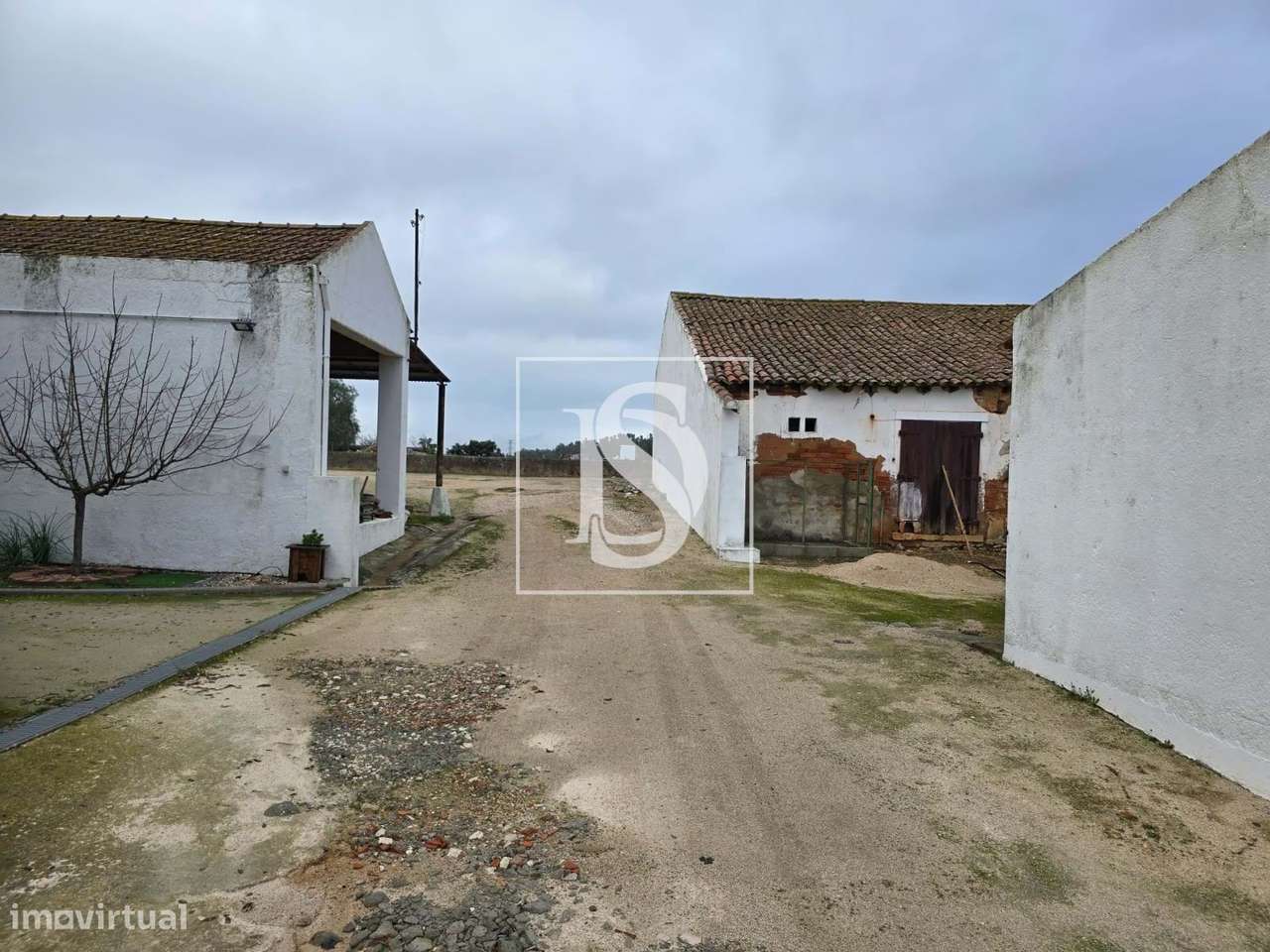 Quinta Rural - Riachos - Torres Novas - Grande imagem: 5/14