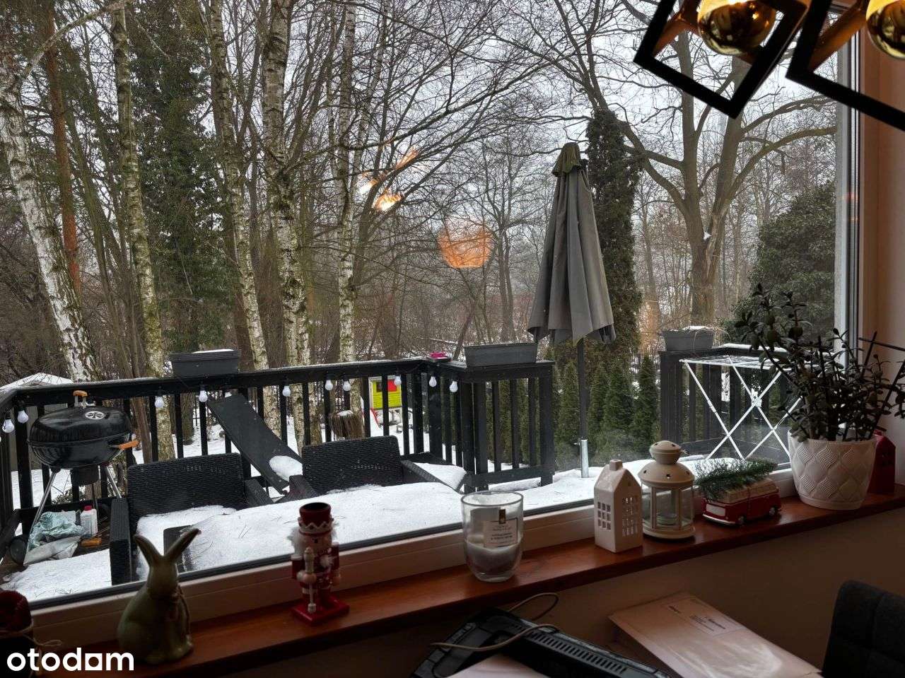 Dom w centrum Brwinowa- ogród ze starodrzewem-okaz-5