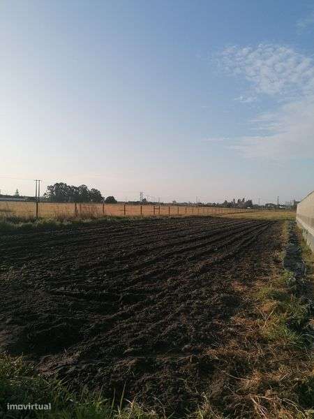 Alugo Terreno com bons acessos - Grande imagem: 5/7