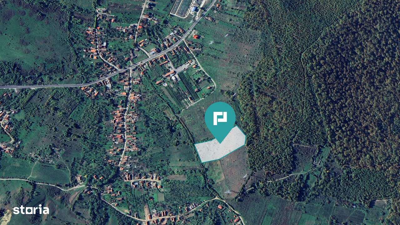 Teren fâneaţă lângă pădure - Hunedoara - Imagine principală: 2/3