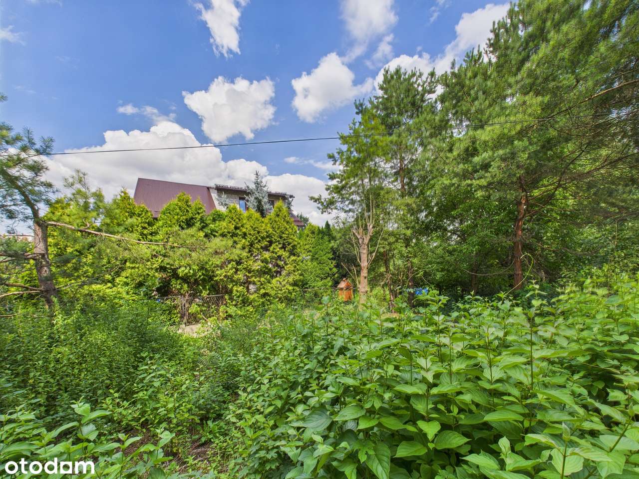 Zielona Działka z Własnym Źródłem i Stawem w Świetnej Lokalizacji!-13