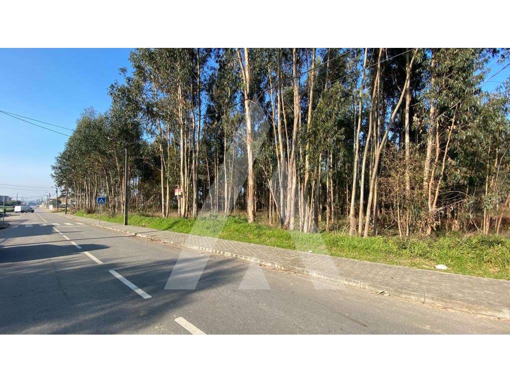 Terreno com viabilidade para construção de moradias - São João de O... - Grande imagem: 2/5