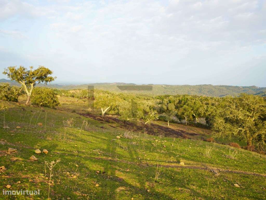 Terreno para Venda com 34 Hectares com Ruina na Serra de Grândola /...-12