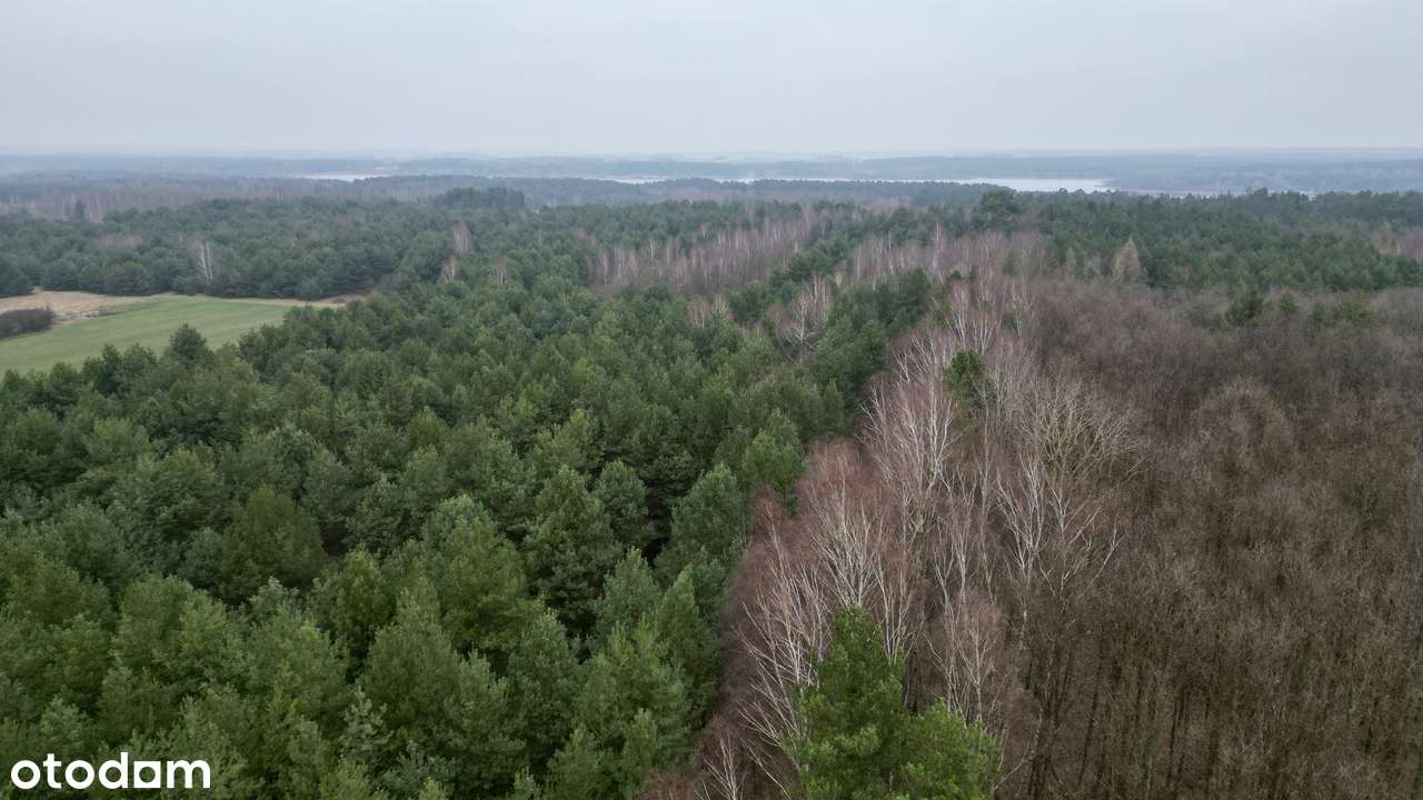 Urokliwa działka z wz na dom całoroczny, Zalew Cieszanowiski-bez %-5