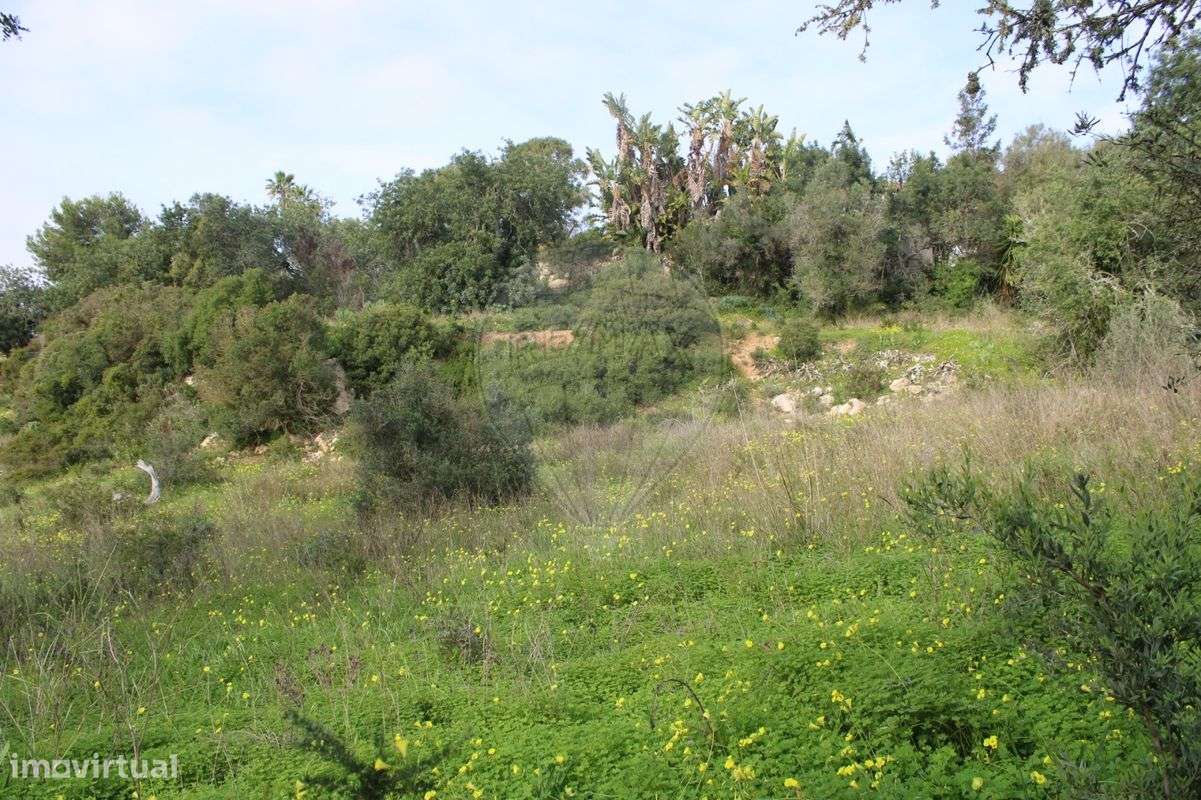 Terreno  para venda - Grande imagem: 4/11