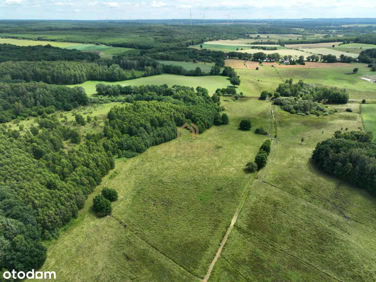 Działka pod Choczewem - 7 ha - Pełny obrazek: 4/7