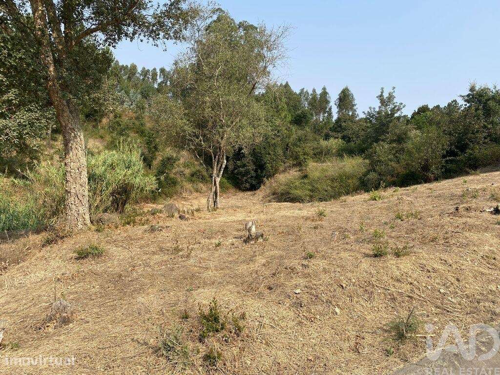 Terreno em Marrazes e Barosa de 2200,00 m2 - Grande imagem: 3/6