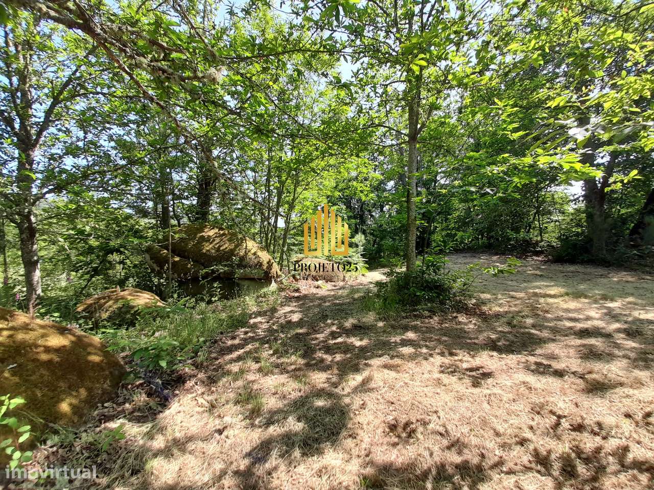 Terreno único com 21.500 m² Zona Vinhateira - Projeto Turístico-25