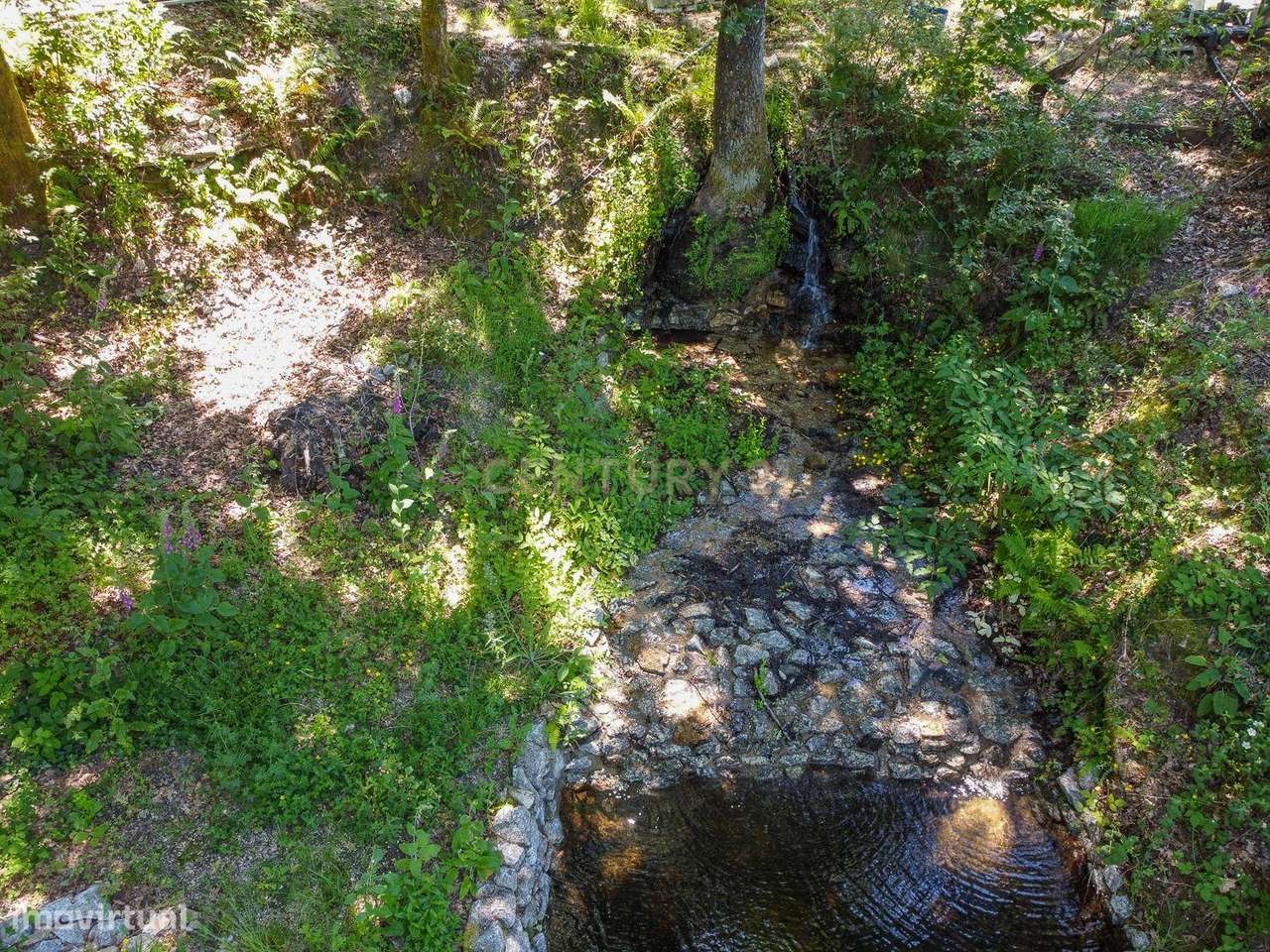 Viver de uma forma Ecológica em Terreno Panorâmico em Calde, Viseu-19