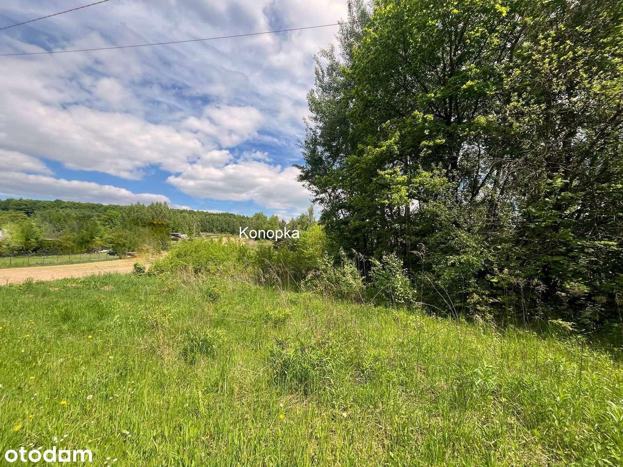 Przestrzeń dla Twoich marzeń w Dolinie Mnikowskiej-0