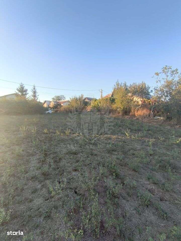 TEREN INTRAVILAN  PLOPU//3000 MP - Imagine principală: 4/9