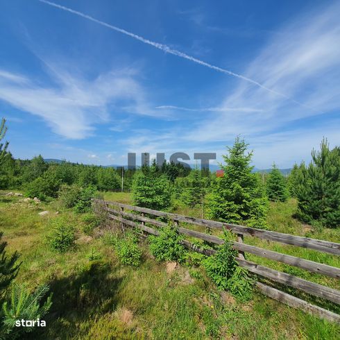 Două loturi a cate 6 terenuri în Călățele-Pădure, | 3526 mp - 1728 mp-3