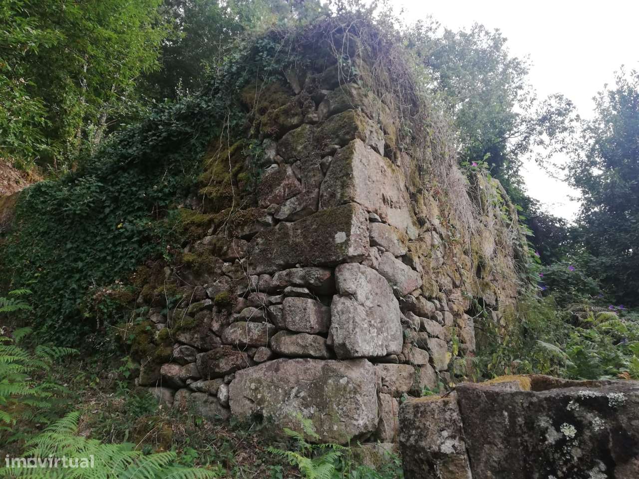 Terreno  Venda em Souselo,Cinfães - Grande imagem: 3/14
