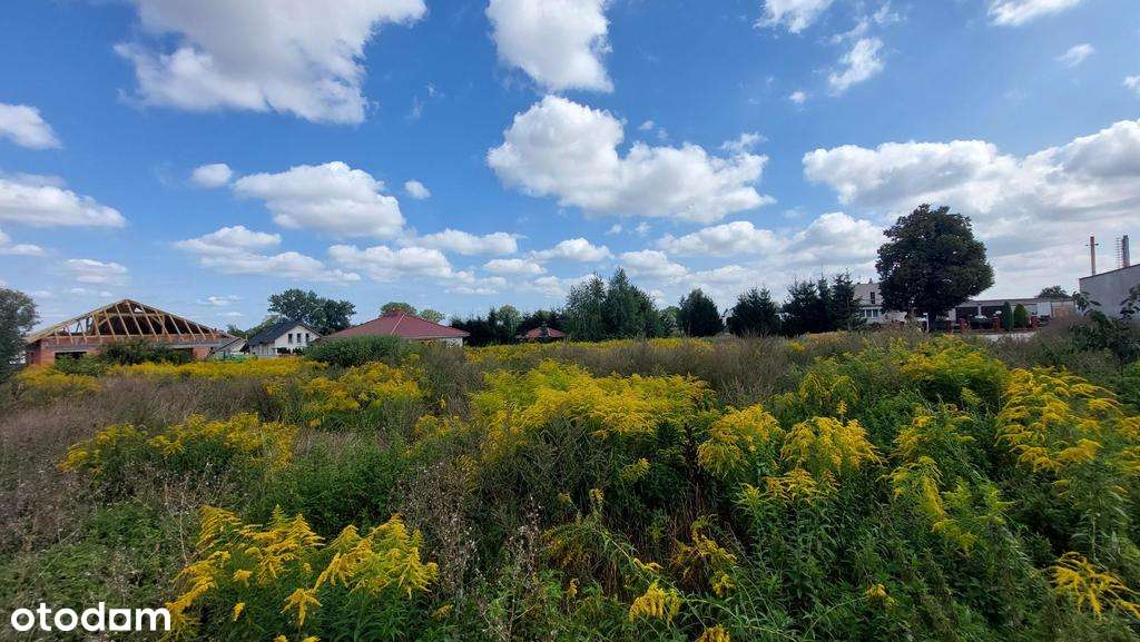 Atrakcyjna działka 1058 m2 - Kórnik - Dachowa - Pełny obrazek: 4/9