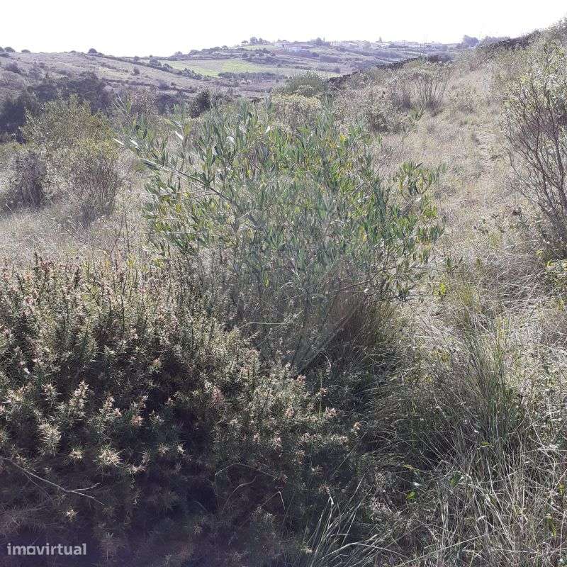 Terreno  para venda - Grande imagem: 5/7