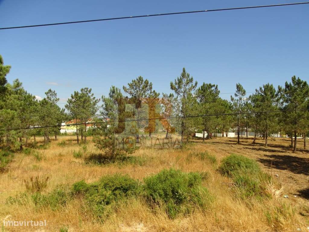 PRONTA!! Moradia Duplex T4 com Garagem, Quinta das laranjeiras Fern...-4