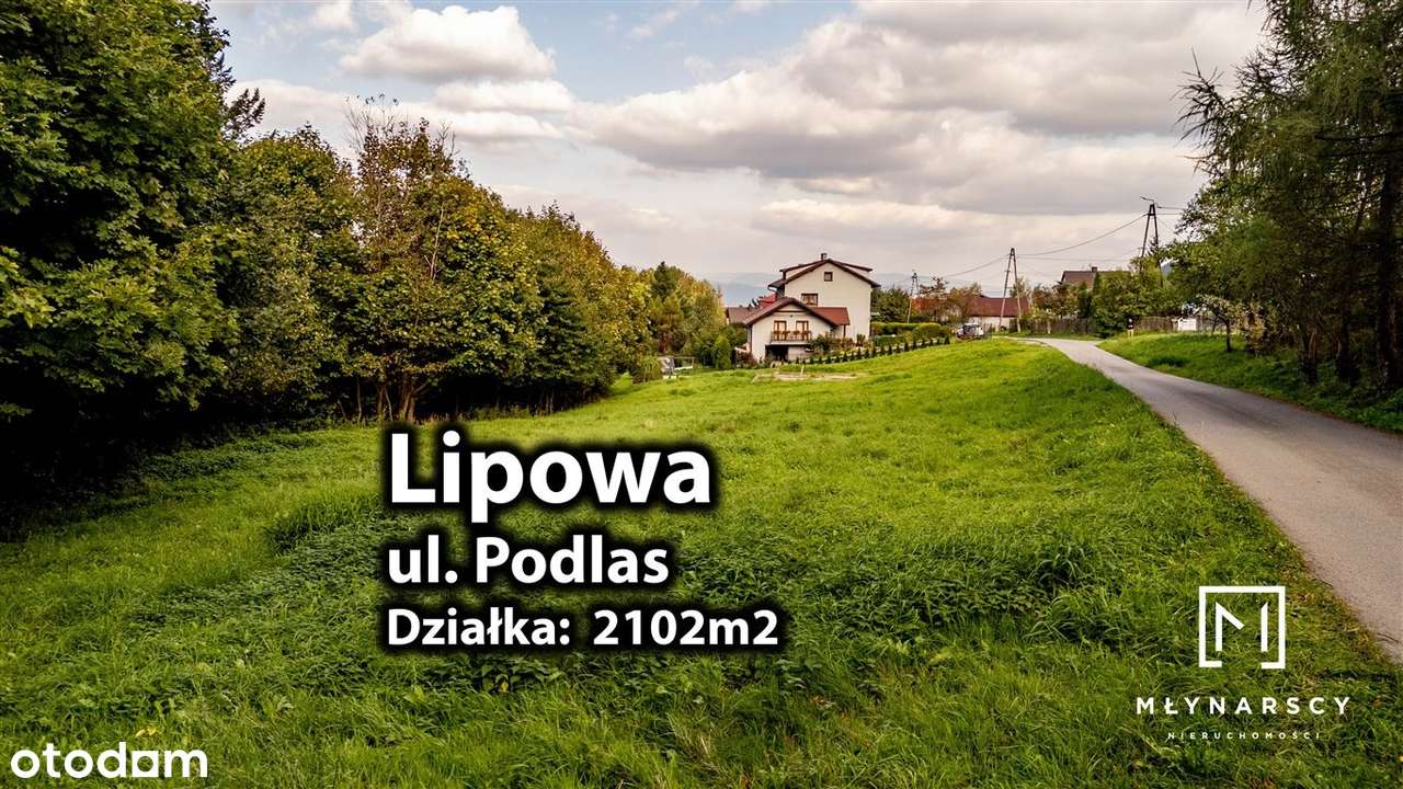 Widokowa działka budowlana z lasem | 21 a Lipowa-0