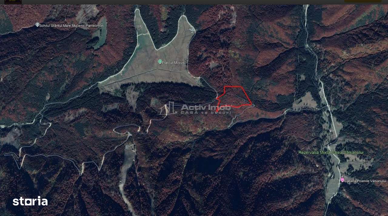 Teren 7 ha, Lac Vidraru, Podis Molivis-4