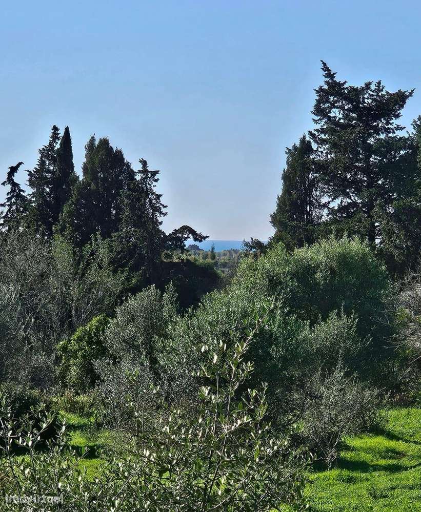 Quinta em Lagos, Praia da Luz,  46.000 m2, 2 casas e 2 Armazéns-20