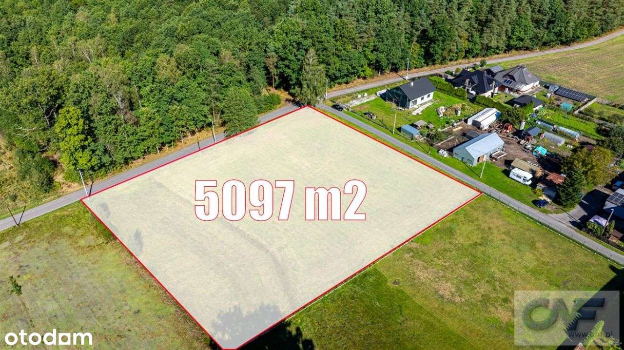 Gostyń Działka budowlana, Atrakcyjna Cena - Pełny obrazek: 4/15
