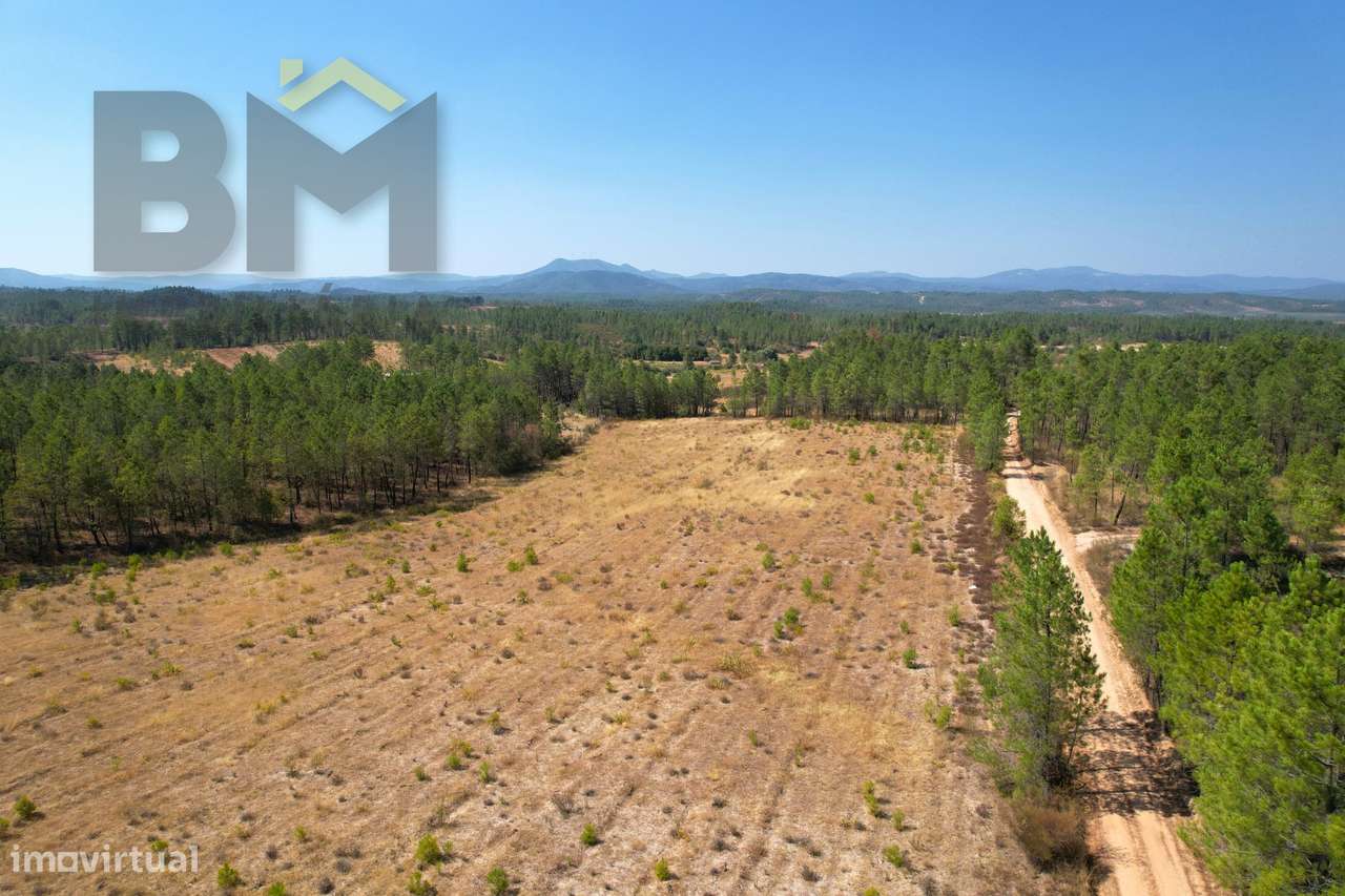 Terreno Rústico  Venda em Sarzedas,Castelo Branco - Grande imagem: 3/12